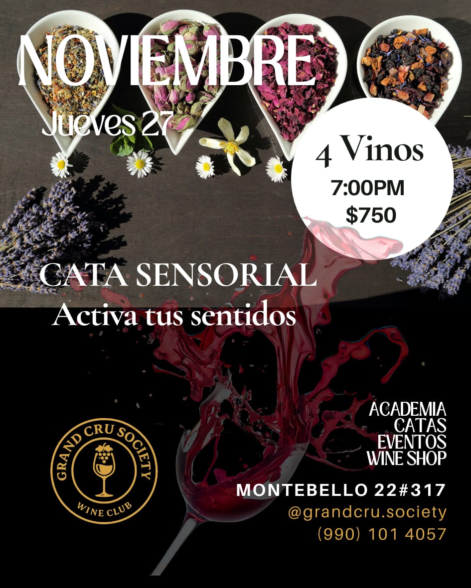 Cata Jueves 27 noviembre 2025 – Más allá del gusto: Activa tus sentidos en nuestra Cata Sensorial