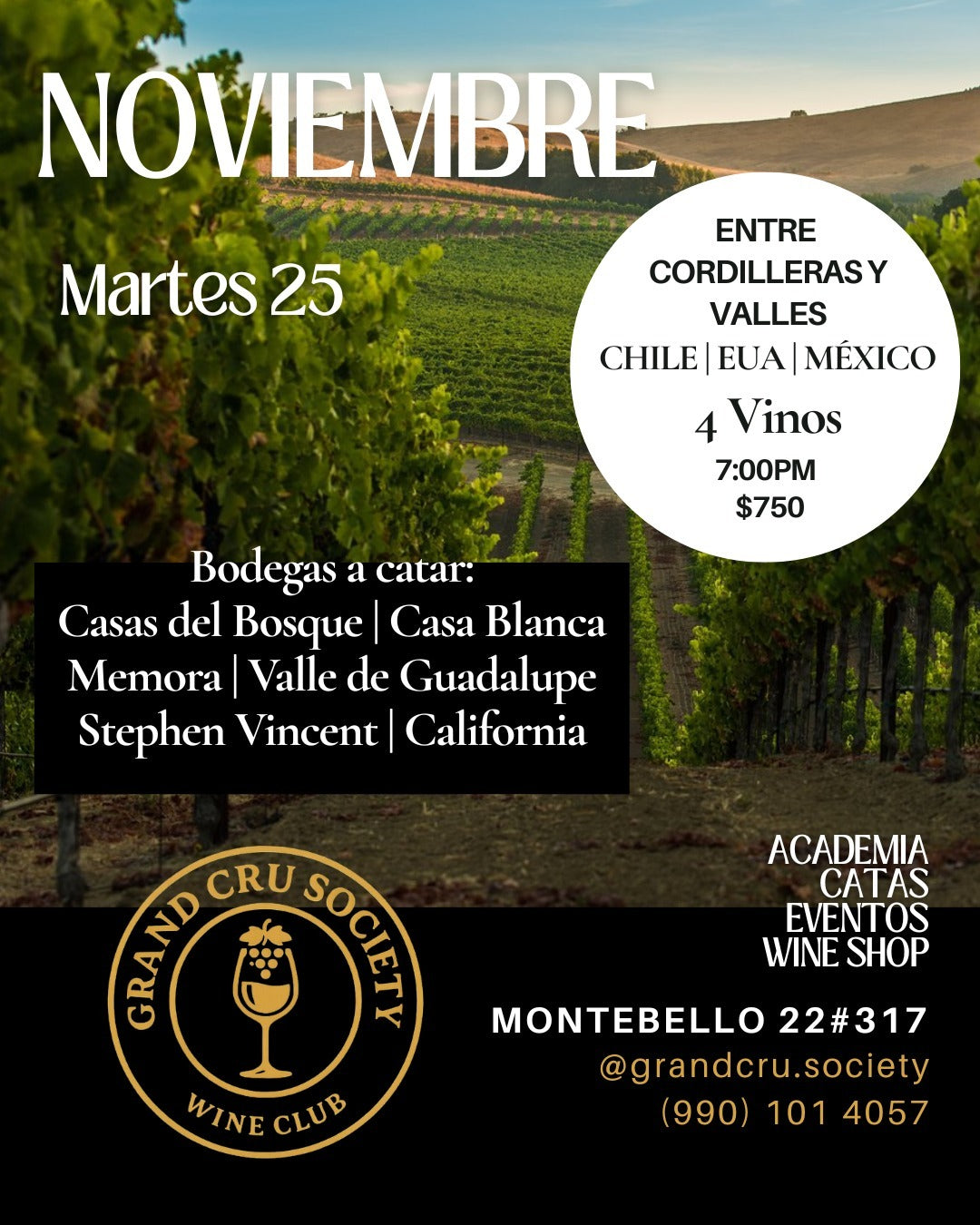 Martes 25 noviembre 2025 – Un viaje por América en 4 copas: Chile, EE.UU. y México